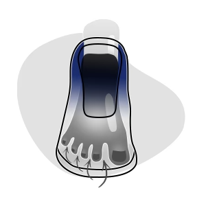 Zapatilla barefoot - Puntera ancha
