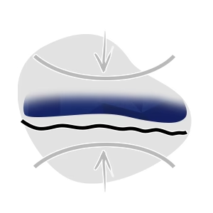 Zapatilla barefoot - Flexible