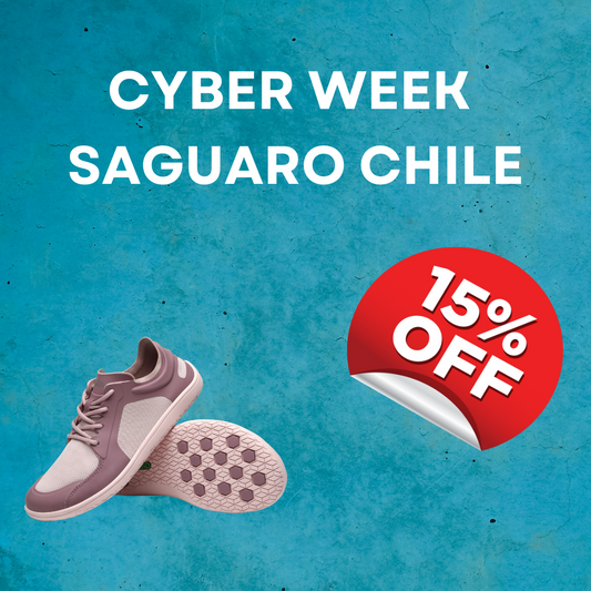 Resultados positivos del Cyber Week de Saguaro Chile